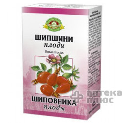 Шипшина