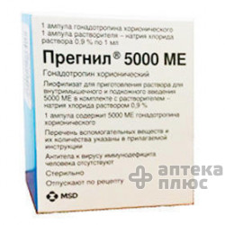 Прегнил