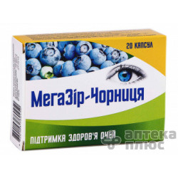Мегазір-чорниця