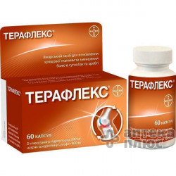 Терафлекс капсулы №60