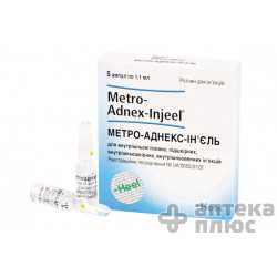 Метро-Аднекс-Инъель